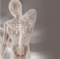 KineMove kinesitherapie te Lokeren